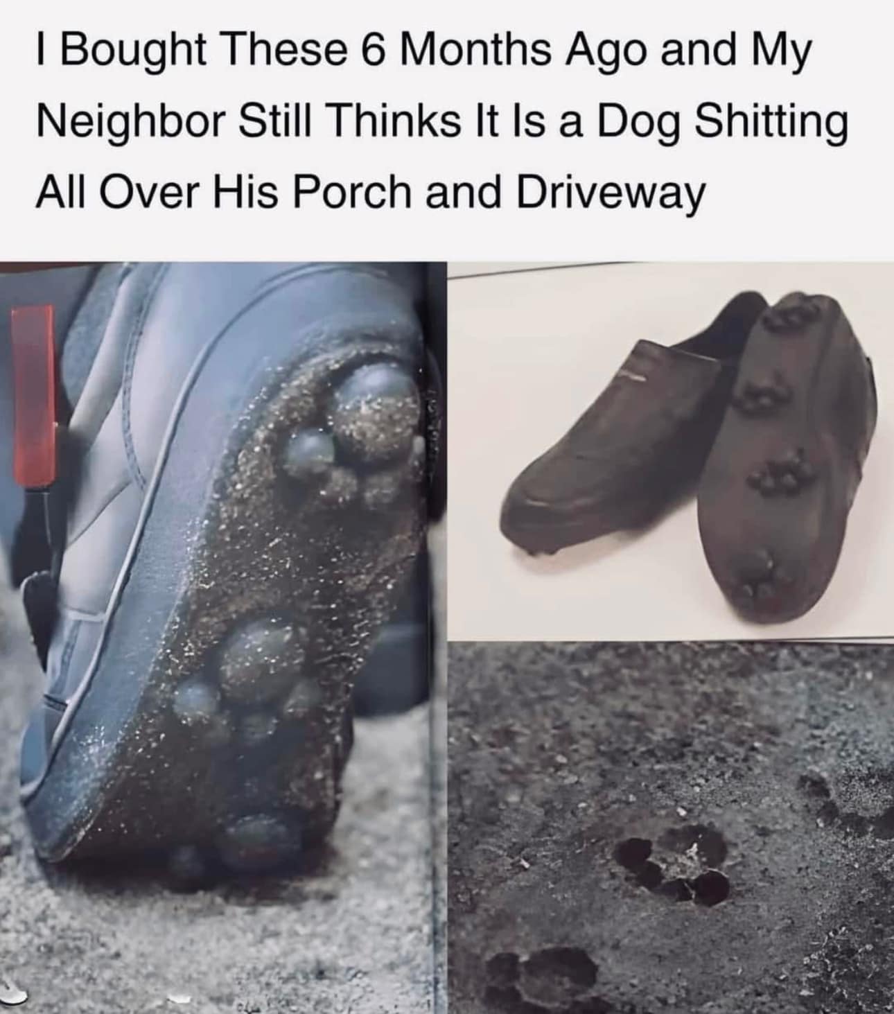 1753573953440.jpeg