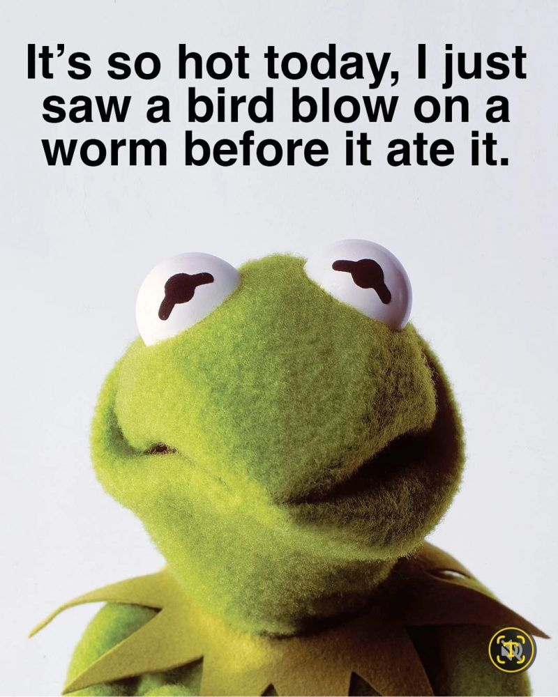 1753784080939.jfif link.png