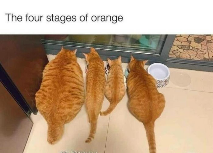 1753934209384.png