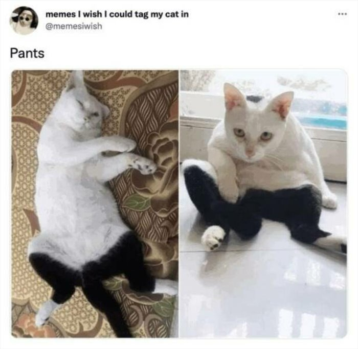 1753934244023.png