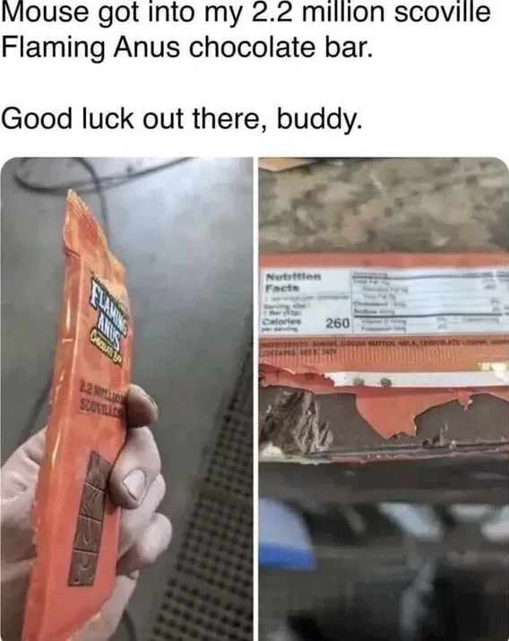 1754687945997.png