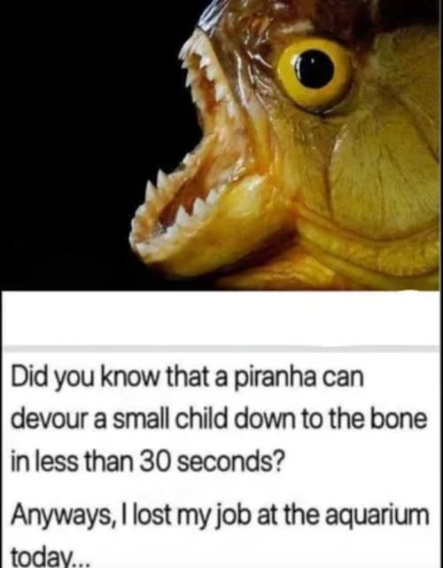 1754691100163.png