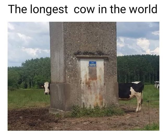 1754780177875.png