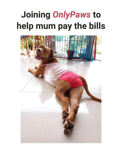 1754780278042.png