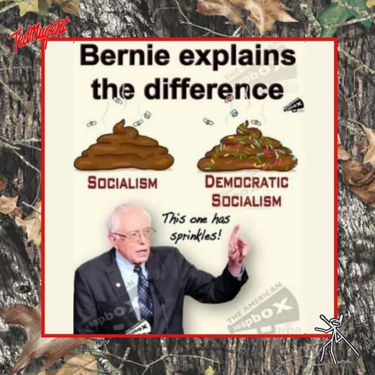 1754834229477.png