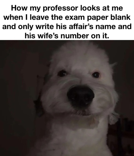 1754835476499.png