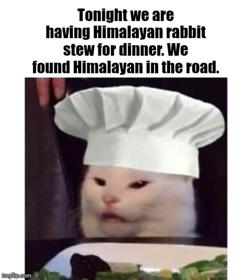 1754917423826.png