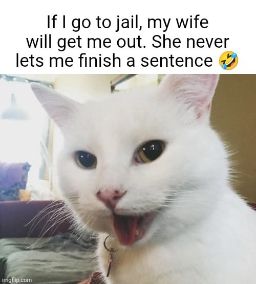 1754950092098.png