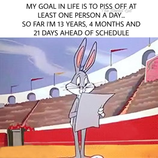 1754999808069.png