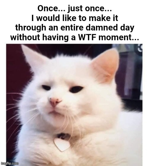 1755000765987.png