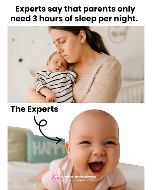 1755006250938.png