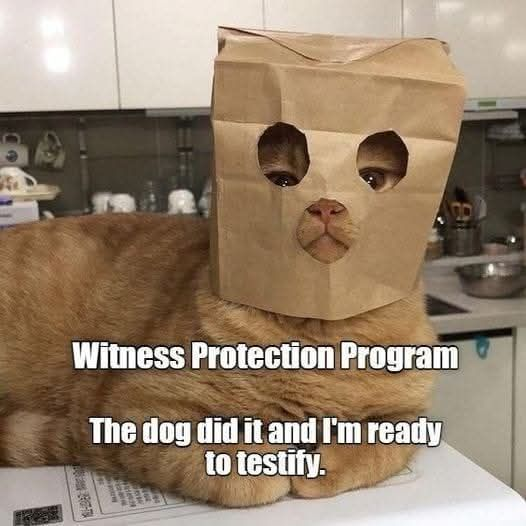 1755007009615.png