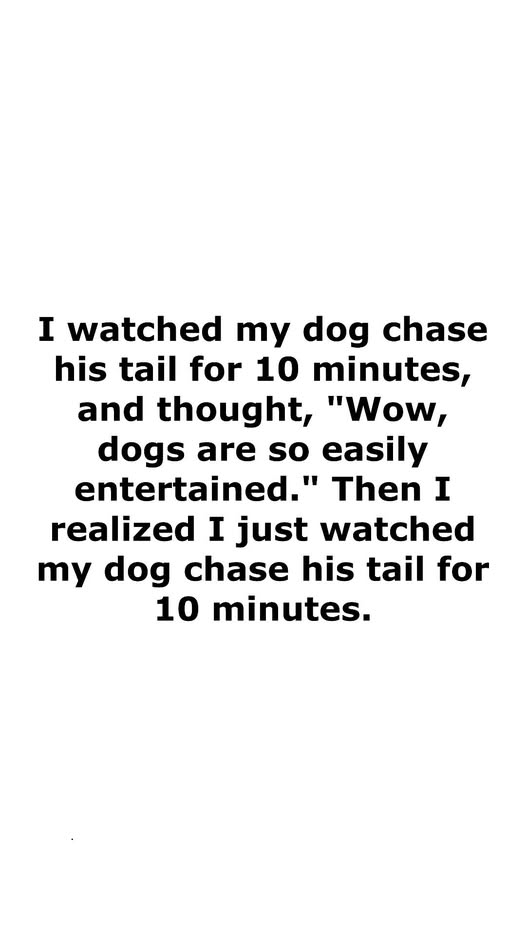 1755271161363.png