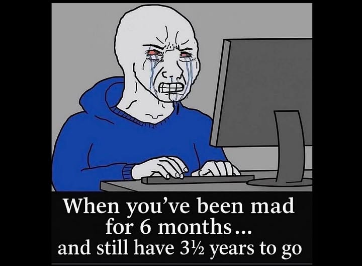 1755381139590.png
