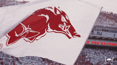 1755436843129.gif