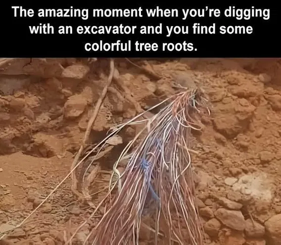 1755437425764.png