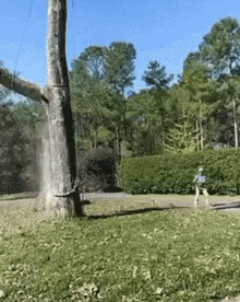 1755529975755.gif