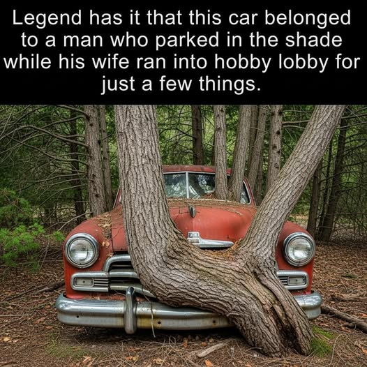 1755606647787.png