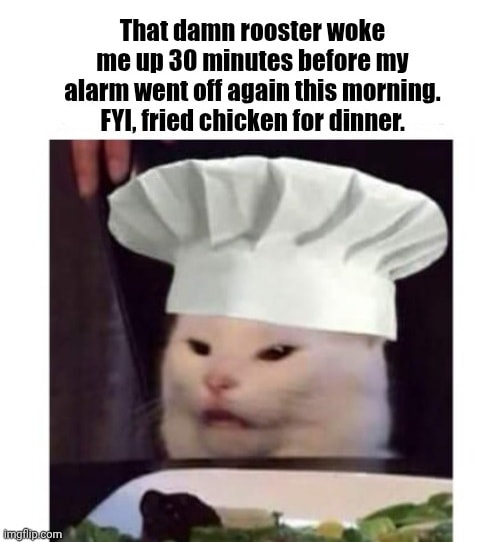 1755705763730.png