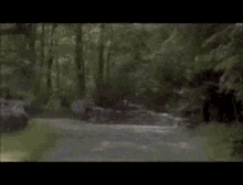 1755782289781.gif