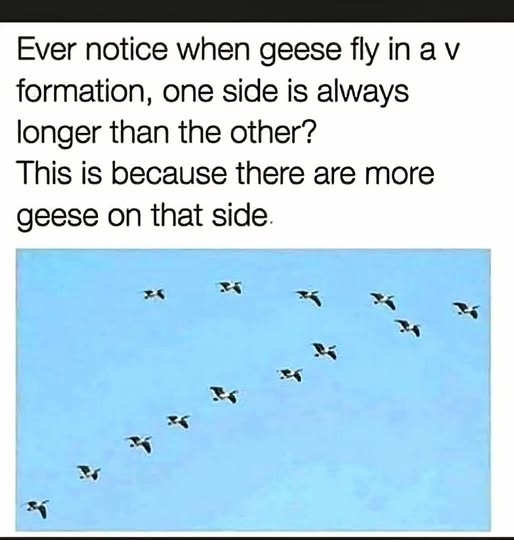 1755800761665.png