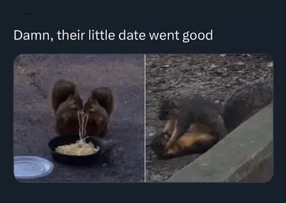 1755910522993.png
