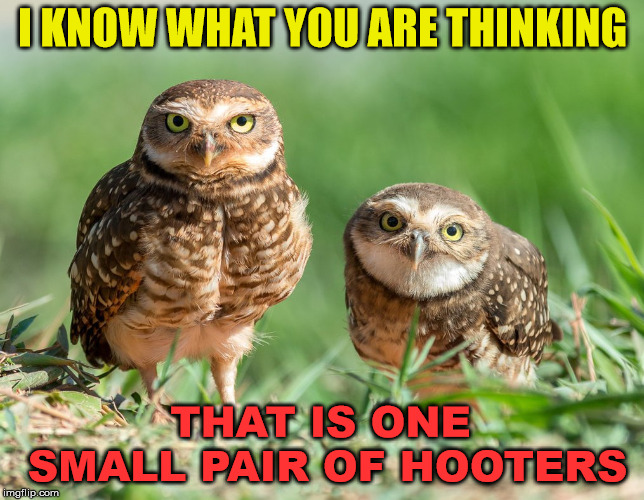 1755983526189.jpeg