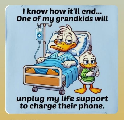 1756074938142.png