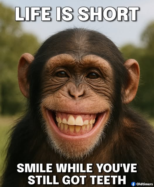1756075652379.png