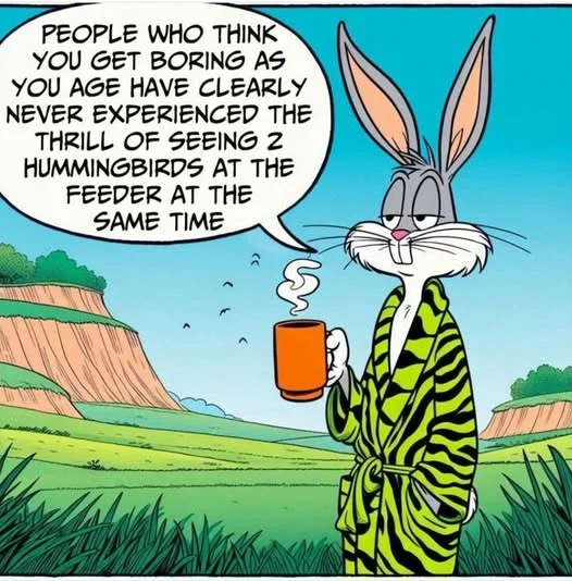 1756208654755.png