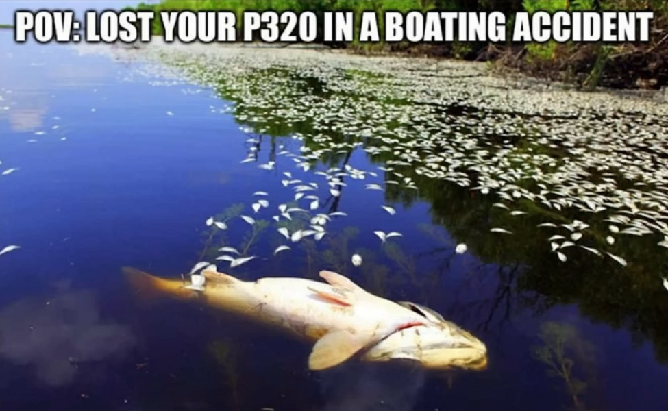 1756252600249.png