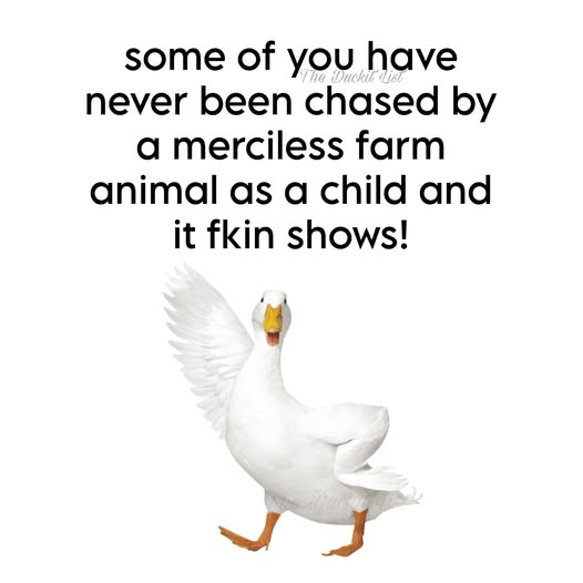 1756312328813.png