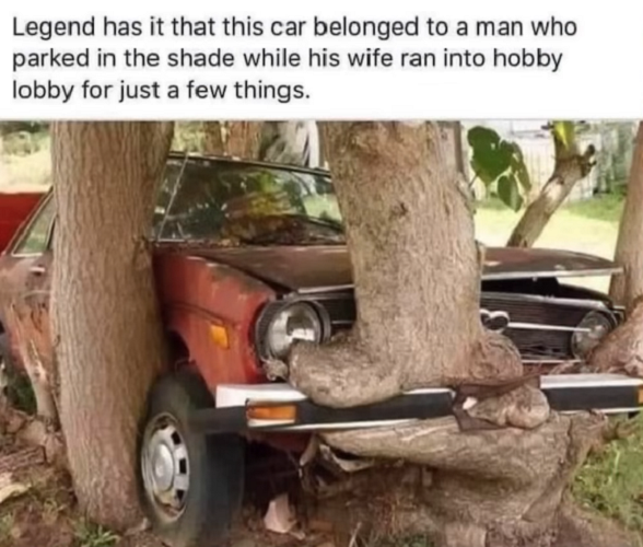 1756435046431.png
