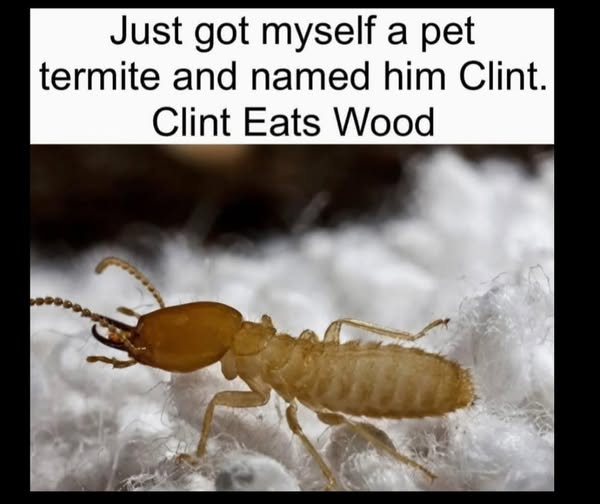 1756570546787.png