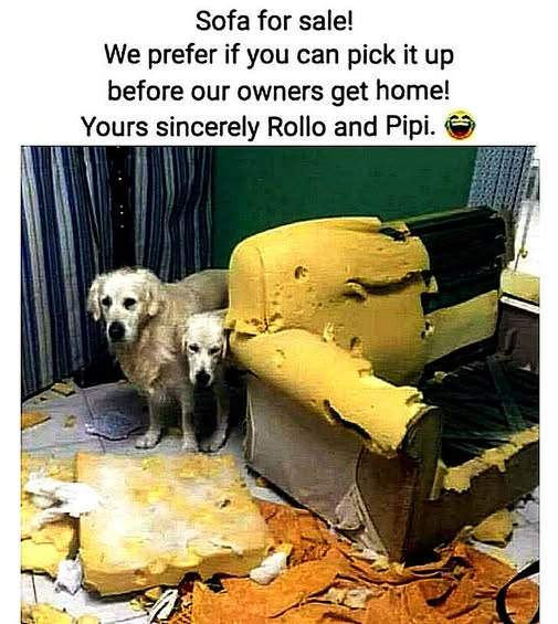 1756570792023.png