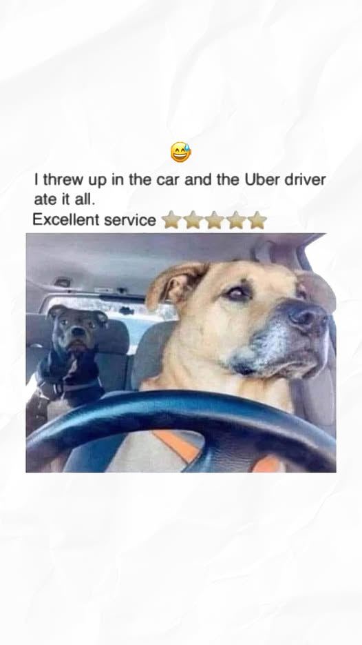 1756570874599.png