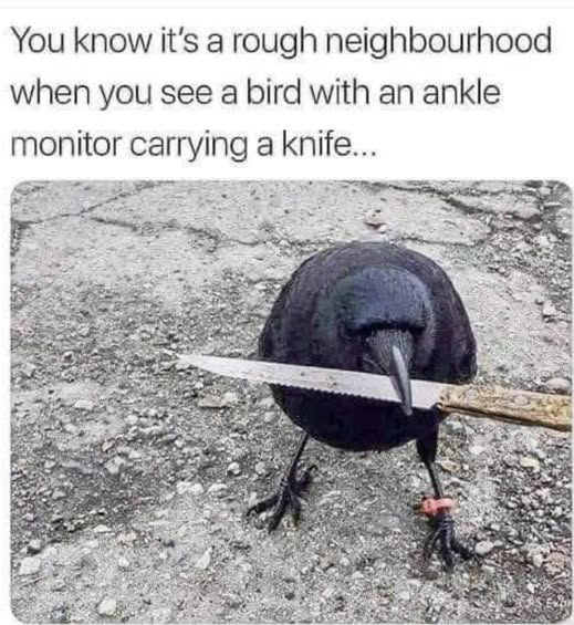 1756657029661.png