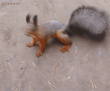 1756676721993.gif