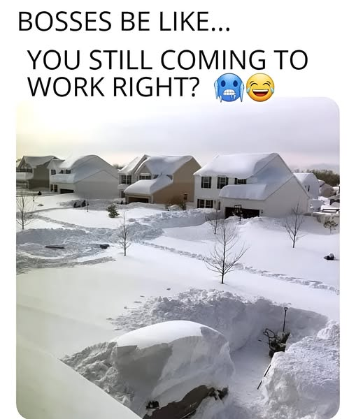 1756755127021.png
