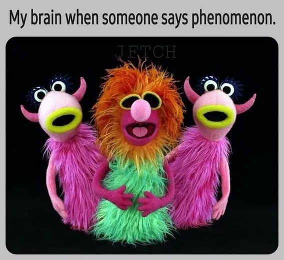 1756772924497.png