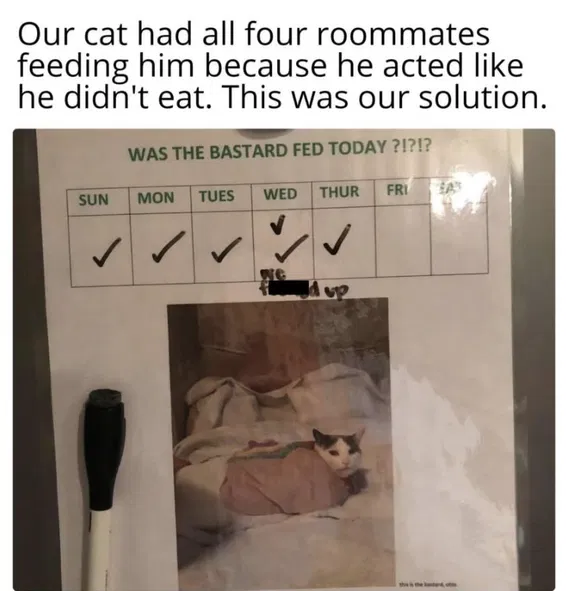 1756893575316.png