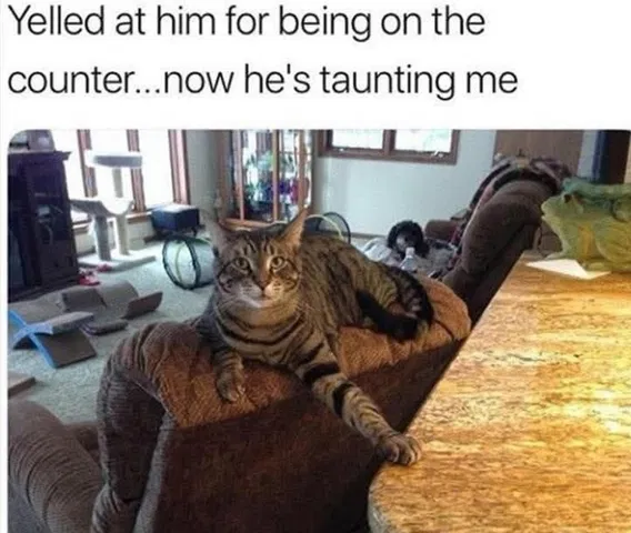 1756894271978.png