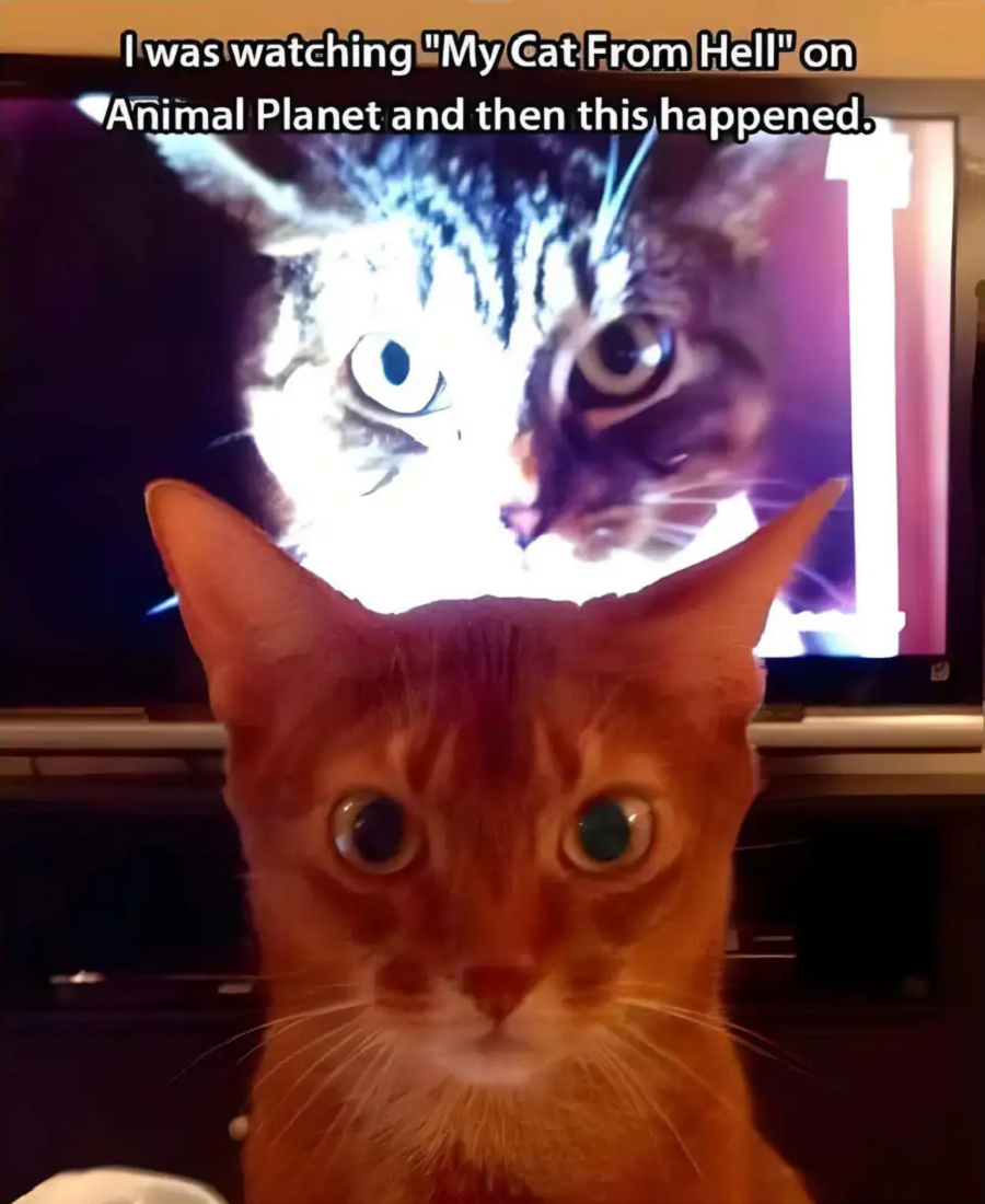 1756944778649.png