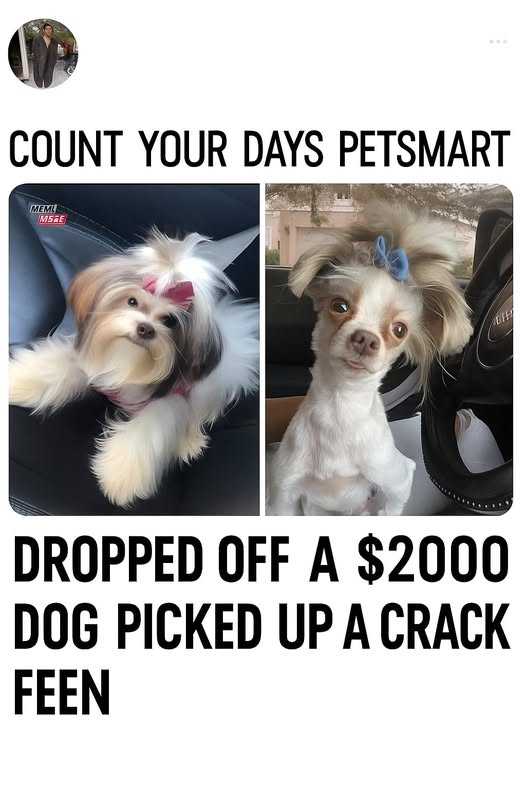 1756984653732.png