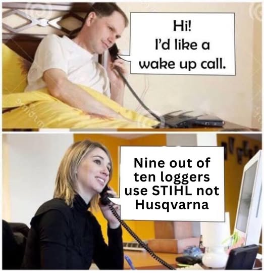 1757202521133.png