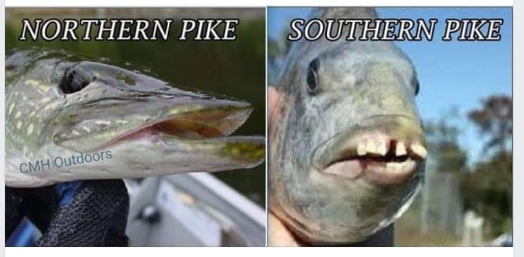 1757285030417.png