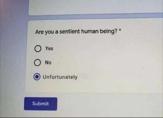 1757325938378.png