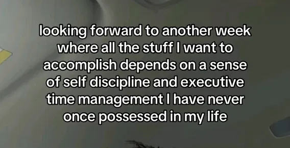1757333850994.png