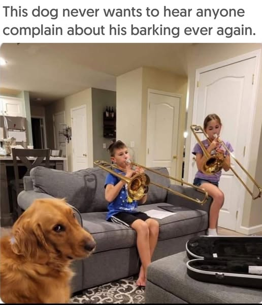 1757360142076.png