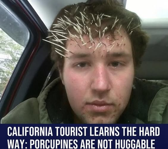 1757523262992.png